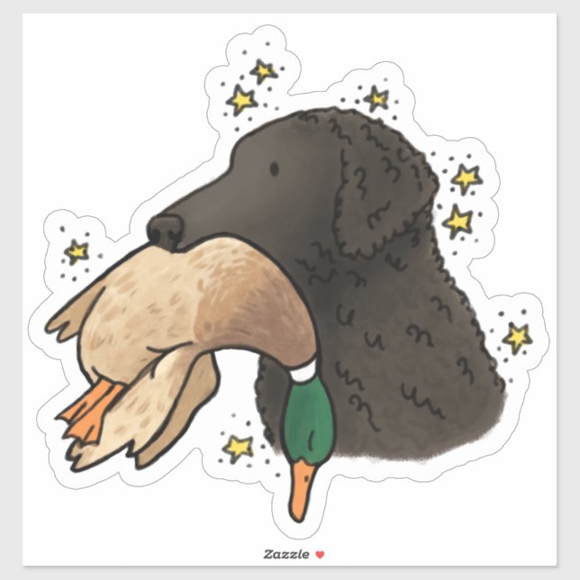Curly Coated Retriever Car Decal (Sheet)