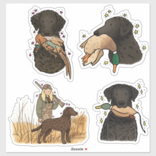 Curly Coated Retriever Car Decal