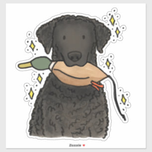 Curly Coated Retriever Car Decal