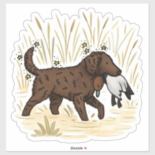 Curly Coated Retriever Car Decal