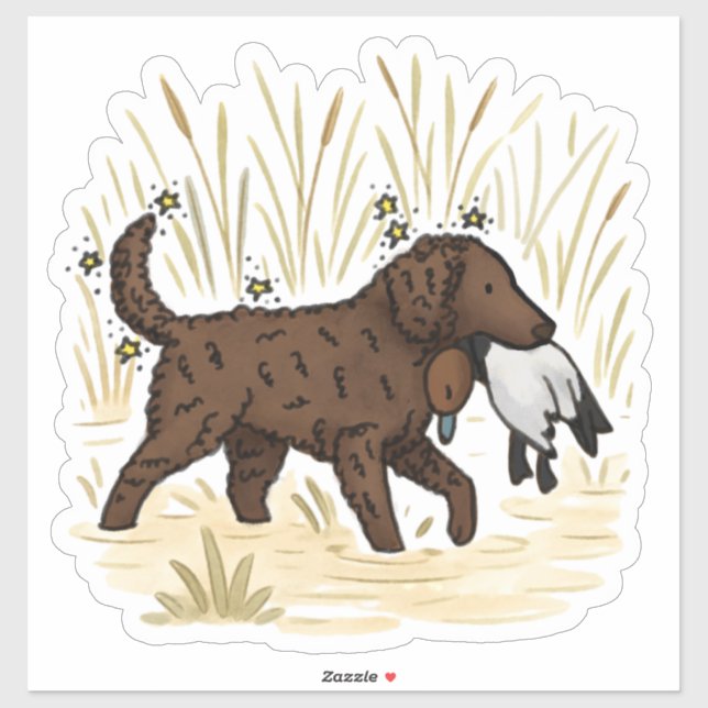 Curly Coated Retriever Car Decal (Sheet)
