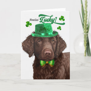 Curly Coated Retriever Dog Lucky St Patrick's Day Holiday Card