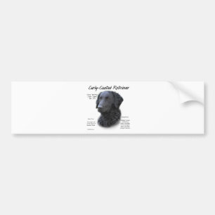 Curly-Coated Retriever History Design Bumper Sticker