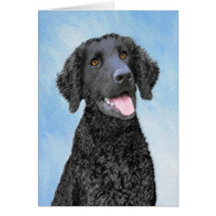 Curly-Coated Retriever Painting - Original Dog Art