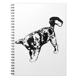 Curly Dreams For Creative Days Notebook