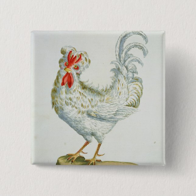 Curly-Haired Cockerel, c.1767-76 (hand coloured en 15 Cm Square Badge (Front)