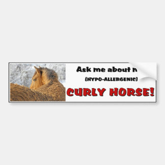 Curly Horse Bumper Sticker 1
