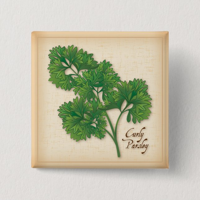 Curly Parsley Herb 15 Cm Square Badge (Front)