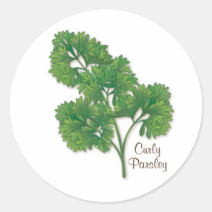 Curly Parsley Round Sticker