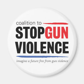 Current CSGV logo Magnet