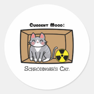 Current Mood: Schrödinger's Cat – Funny Quantum Ph Classic Round Sticker