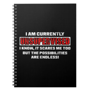 Currently Unsupervised Funny Sarcastic Quote Gift Notebook