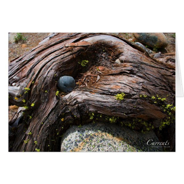 Currents Card (Front Horizontal)