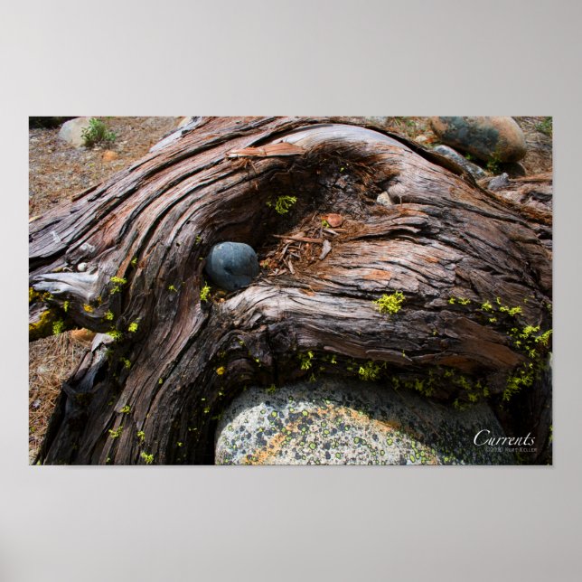 Currents Poster (Front)