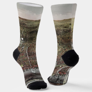 Currier and Ives print of Brooklyn, 1886 Socks