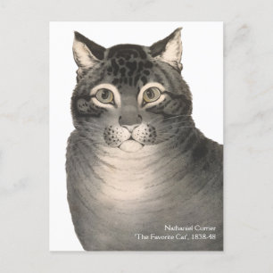 Currier & Ives Cat Cute Victorian Fine Art Postcard