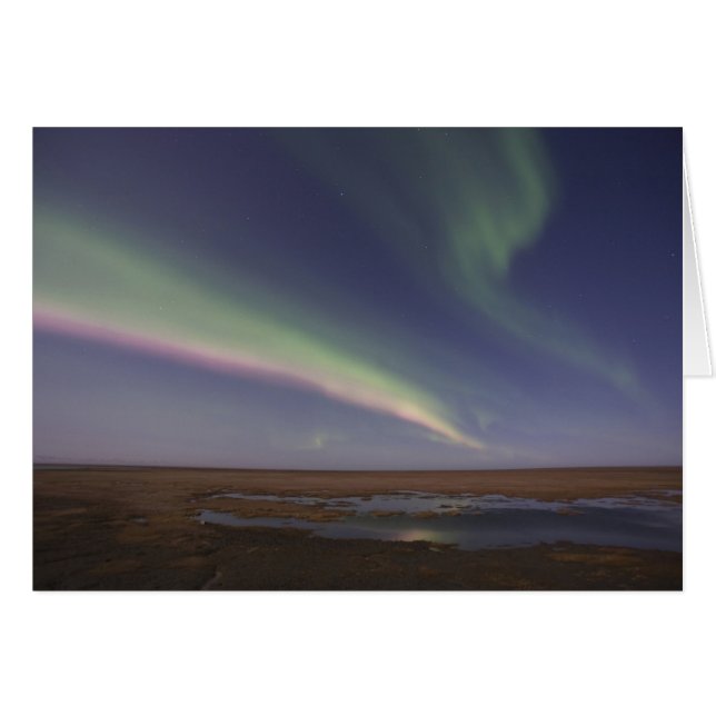 Curtains of coloured northern lights (Front Horizontal)