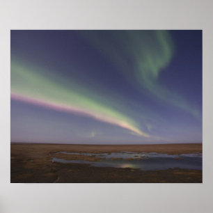 Curtains of coloured northern lights poster