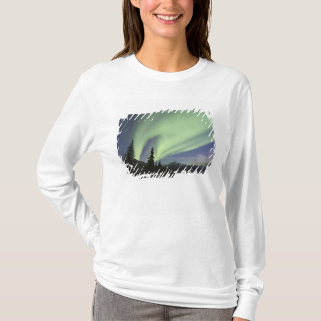 Curtains of green aurora borealis in the sky T-Shirt (Front)