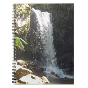 Curtis Falls Notebook