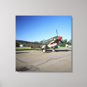 Curtiss P-40 Warhawk, at Minnesota CAF Air Show Canvas Print