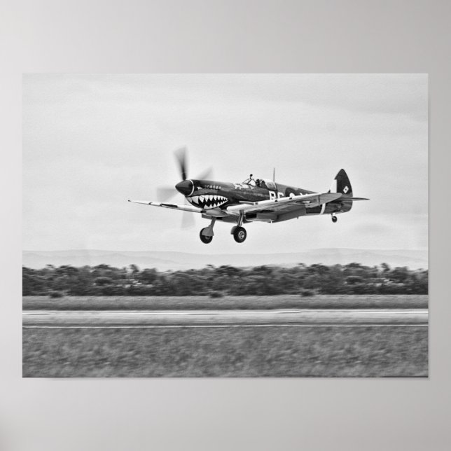 Curtiss P-40 Warhawk Fighter Air Plane Poster (Front)