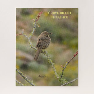Curve-Billed Thrasher Bird Perched On Ocotillo Jigsaw Puzzle