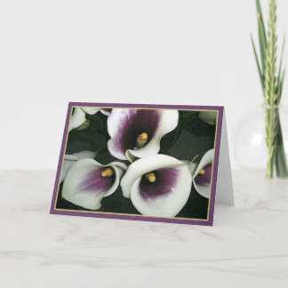 Curvy Callas Card