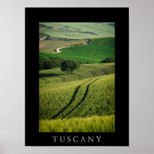 Curvy lines in green Tuscany black poster