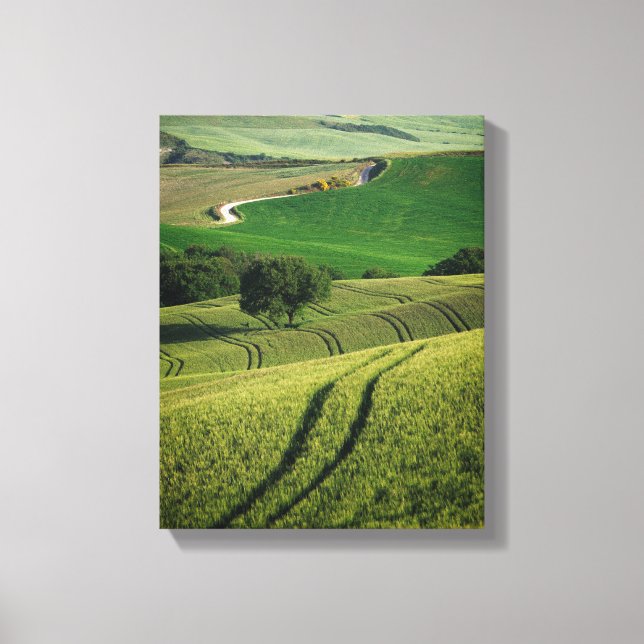 Curvy lines in green Tuscany canvas print (Front)