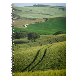 Curvy lines in green Tuscany notebook