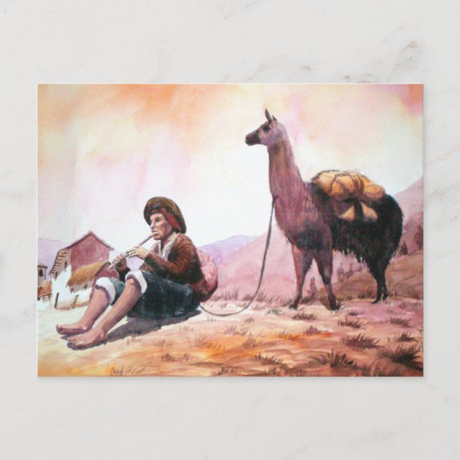 Cusco Peru Llama Picture Postcard (Front)