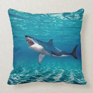 Cushion