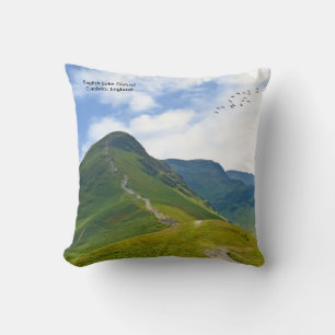 Cushion