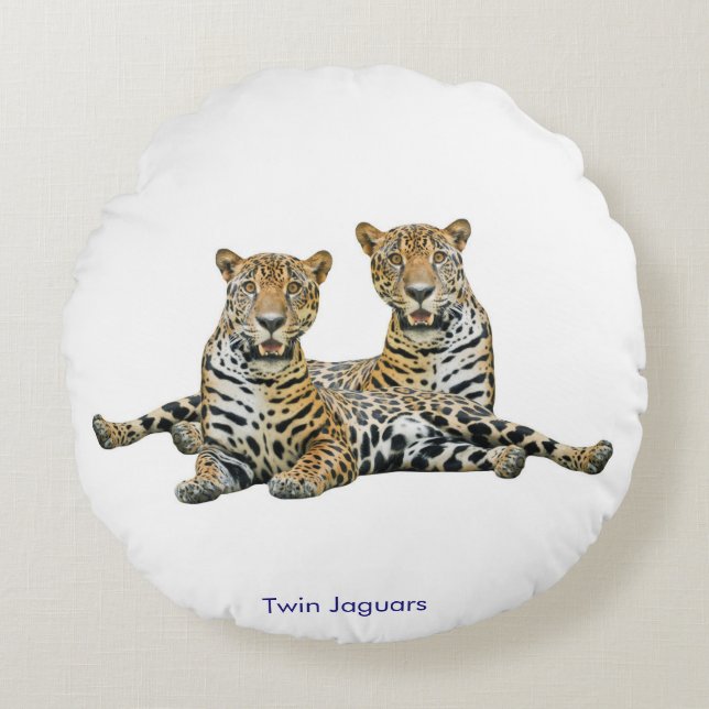 Cushion (Front)