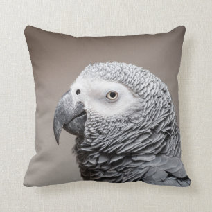 Cushion Congo African Grey Gray Parrot