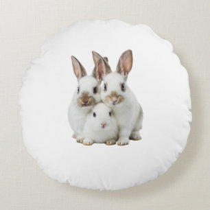cushion rabbit