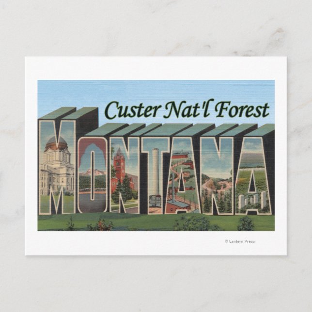 Custer Nat'l Forest, Montana Postcard (Front)
