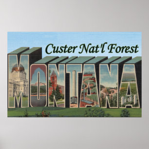 Custer Nat'l Forest, Montana Poster
