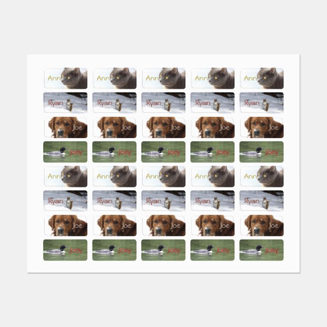 Custimizable Animal Stickers (Sheet)