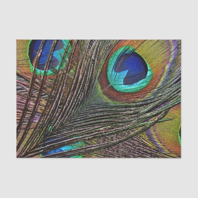 Custom 10lb Tissue Paper, PEACOCK FEATHER Paper (Front)