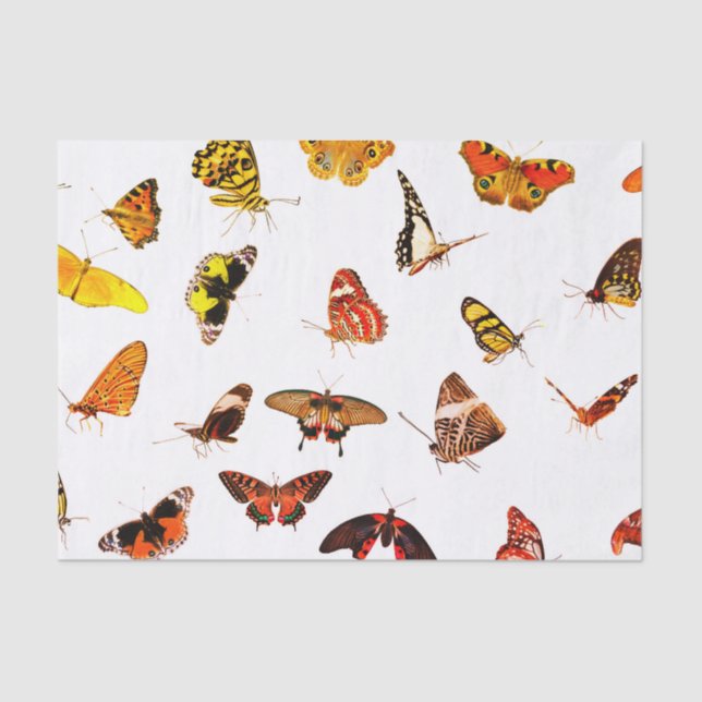 Custom 10lb Tissue Paper, White BUTTERFLIES Paper (Front)