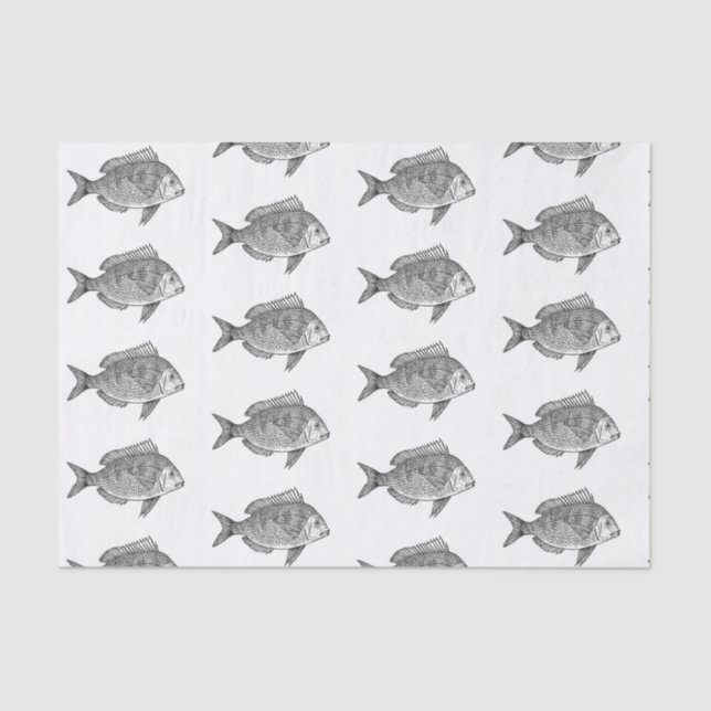 Custom 10lb Tissue Paper, White FISH Tissue Paper (Front)