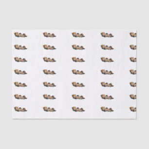 Custom 10lb Tissue Paper, White with bear cub Tissue Paper