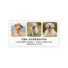 Custom 3 Photo Personalised Return Address