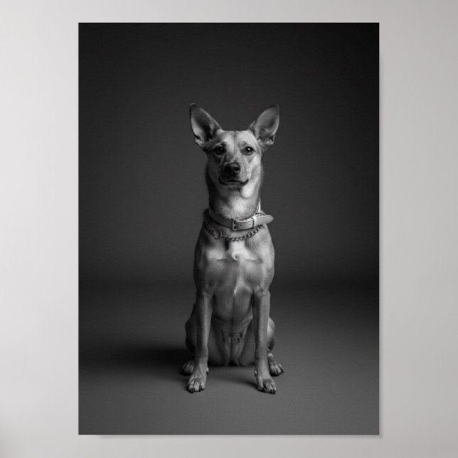 Custom 4K Black & White Pet Portrait Poster (Front)