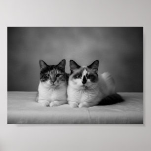 Custom 4K Black & White Pet Portrait Poster – Prof