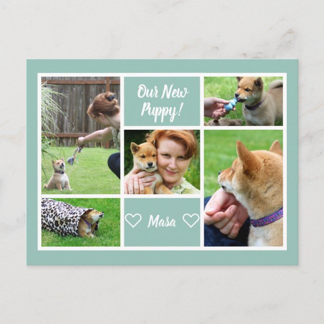 Custom 5 Photo Collage Family Pet Announcement Postcard (Front)