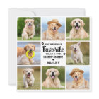 Custom 8 Photo Collage Pet Dog Loss Remembrance