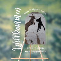 Custom Acrylic Photo Sign – Great Dane Edition